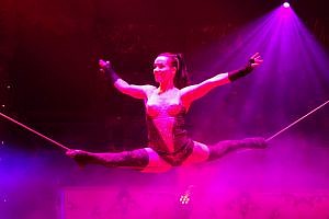 Circus Conelli Artist
