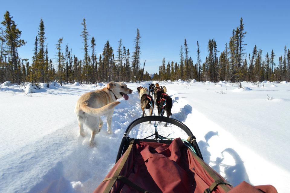 running Swiss Wanderlust