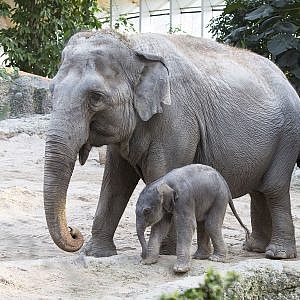 Zoo Zürich