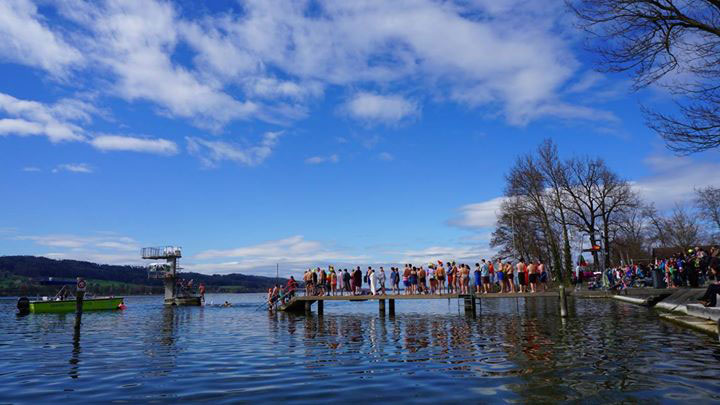 Blue Egg Swim Lake Greifensee