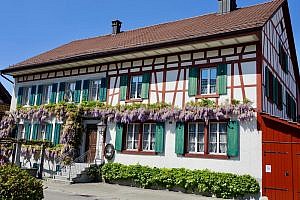 Zürich Wine Region