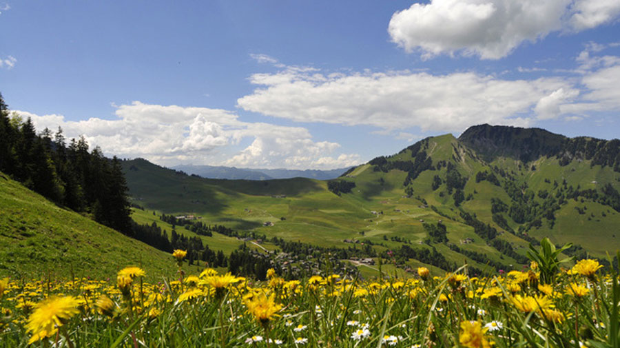 Aecherli Pass