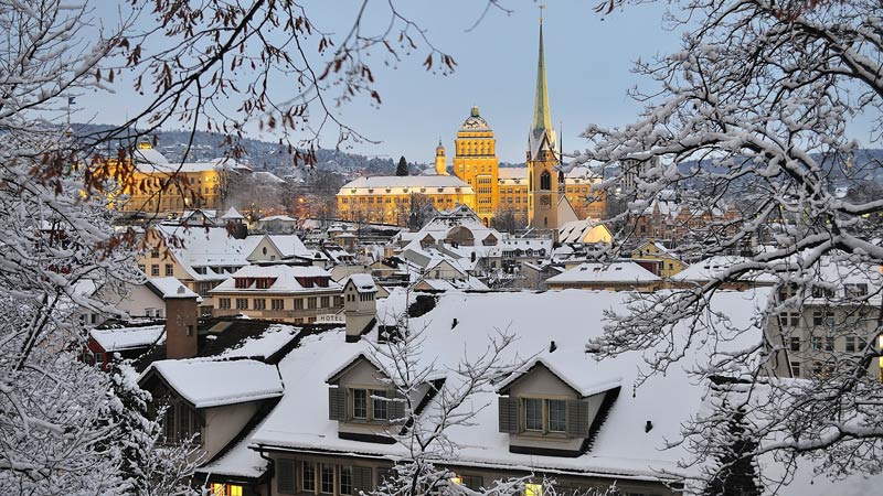 Of tree stands & Christmas mice - A modern-day Swiss Christmas story