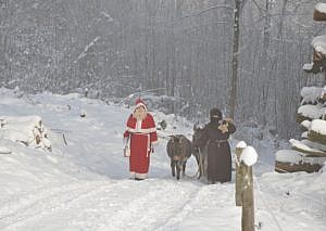 Of tree stands & Christmas mice - A modern day Swiss Christmas story